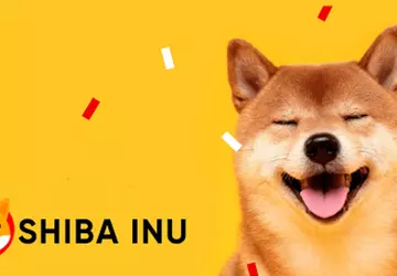 Użytkownik inwestuje 8.000$ w kryptowalutę Shiba ...