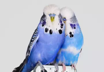 Nowy zwiastun przedstawia projekt telefonu Nothing ...