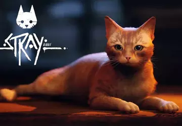 Piłka nożna, dystopijna przyszłość i SEALs ...