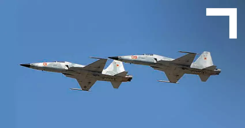 Myśliwiec Northrop F-5 Tiger rozbił się w Turcji po zderzeniu z ptakiem