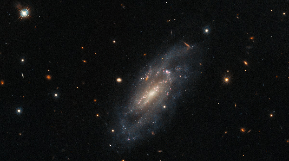 Hubble wykonał zdjęcie odległej galaktyki w gwiazdozbiorze Pegaza, która zdołała przetrwać niewyobrażalnie potężną eksplozję gwiezdną