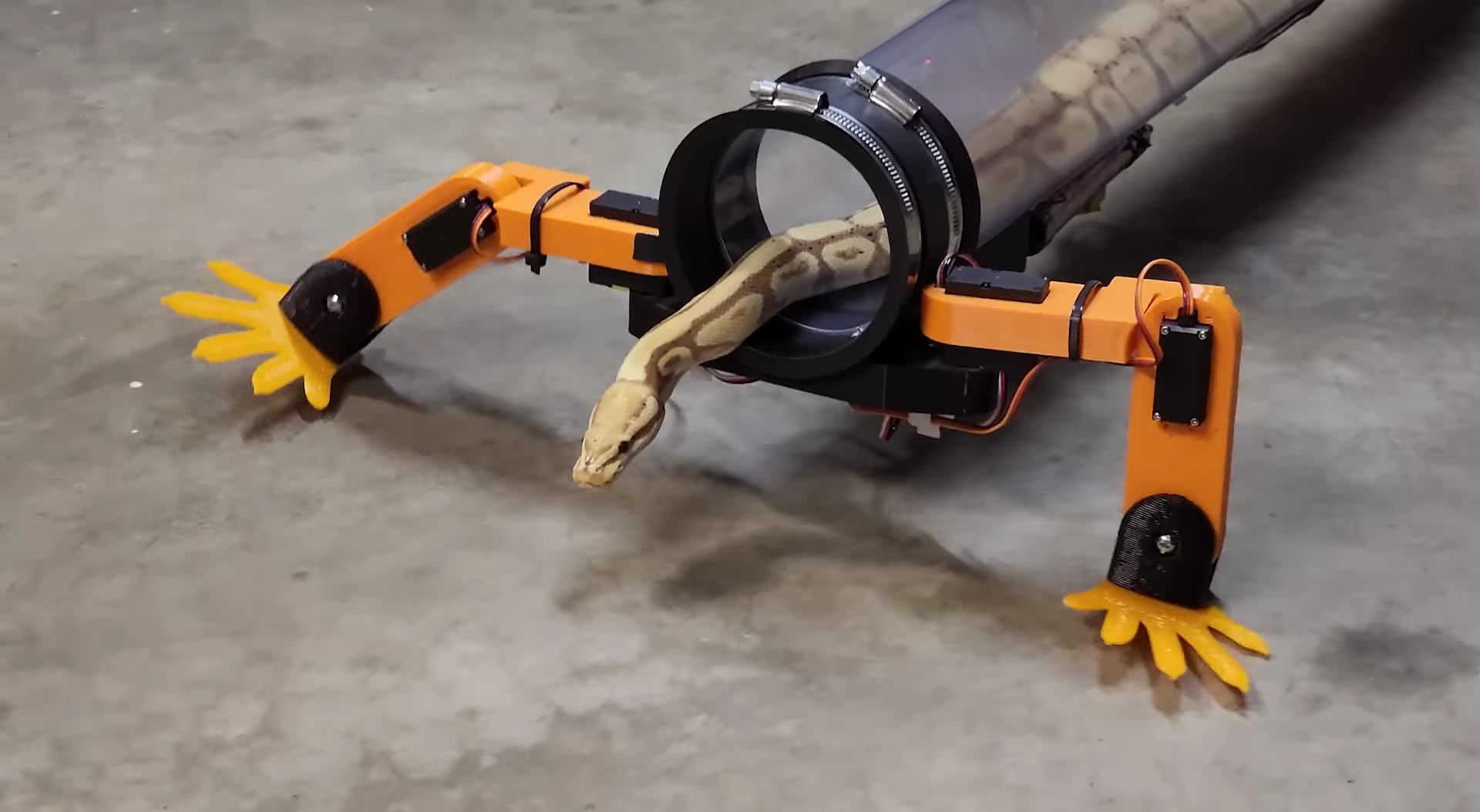 Inżynierka opracowuje nogi robota dla węża - uwielbia to