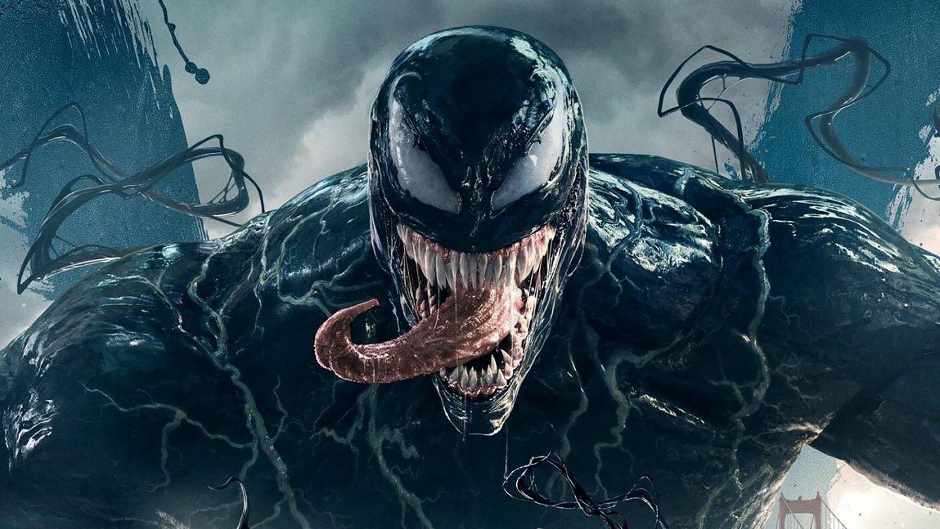 Symbioza filmu i nauki: nowy gatunek jadowitego pająka został odkryty w Australii i nazwany na cześć antybohatera Marvela, Toma Hardy'ego.