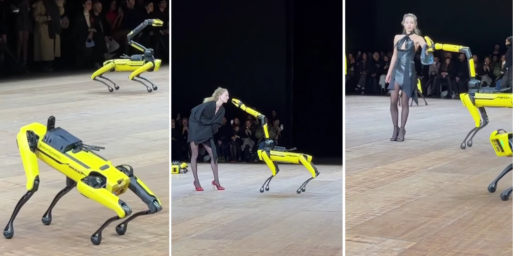 Pięć psów-robotów Boston Dynamics bierze udział w pokazie mody Coperni w Paryżu