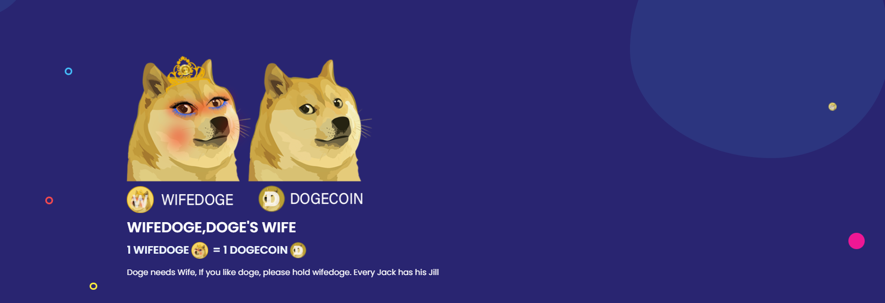 Klon Dogecoin wzrósł o prawie 1000% w ciągu nocy