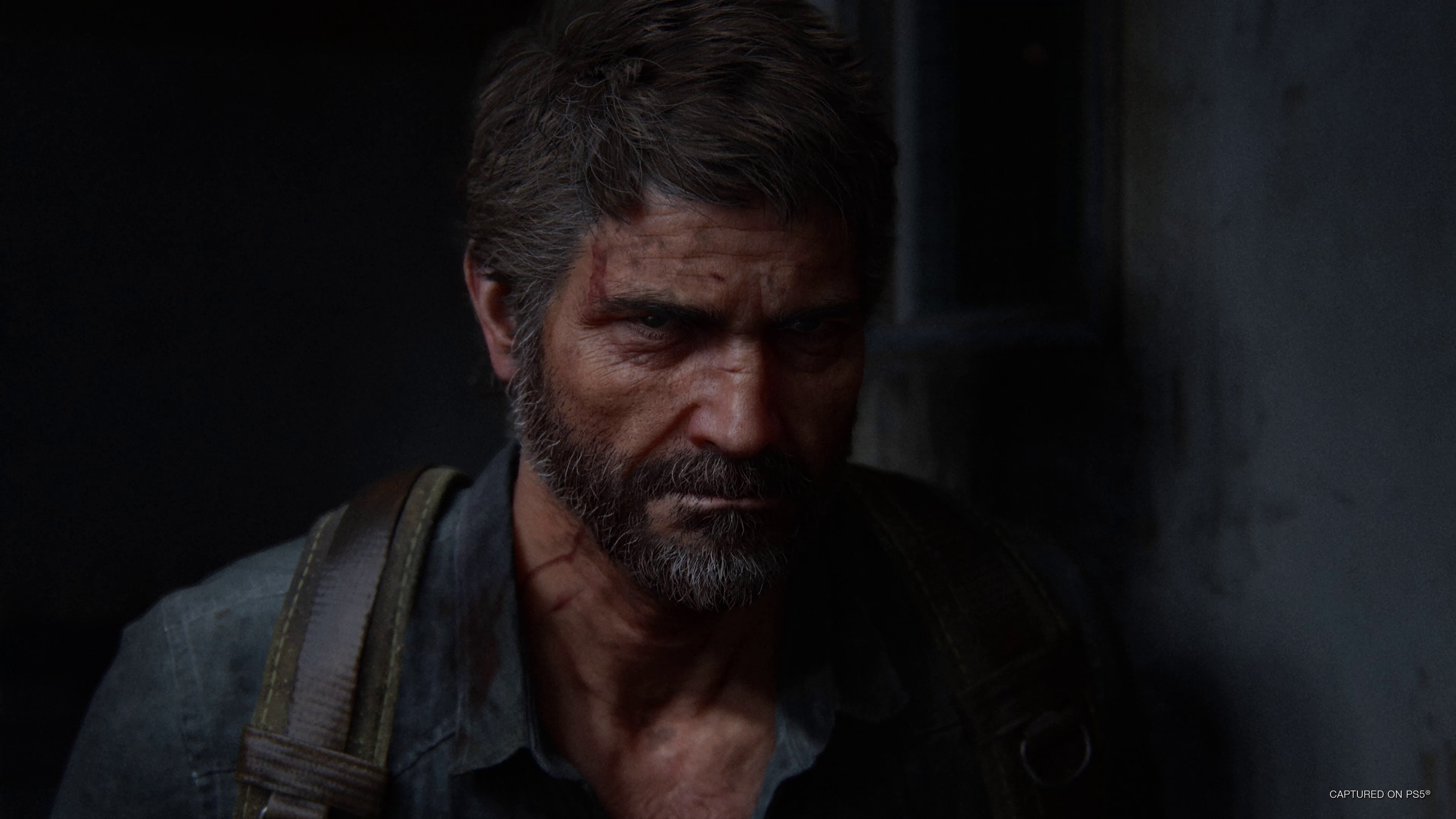 Nowe spojrzenie na The Last of Us 2: funkcje i szczegóły graficzne