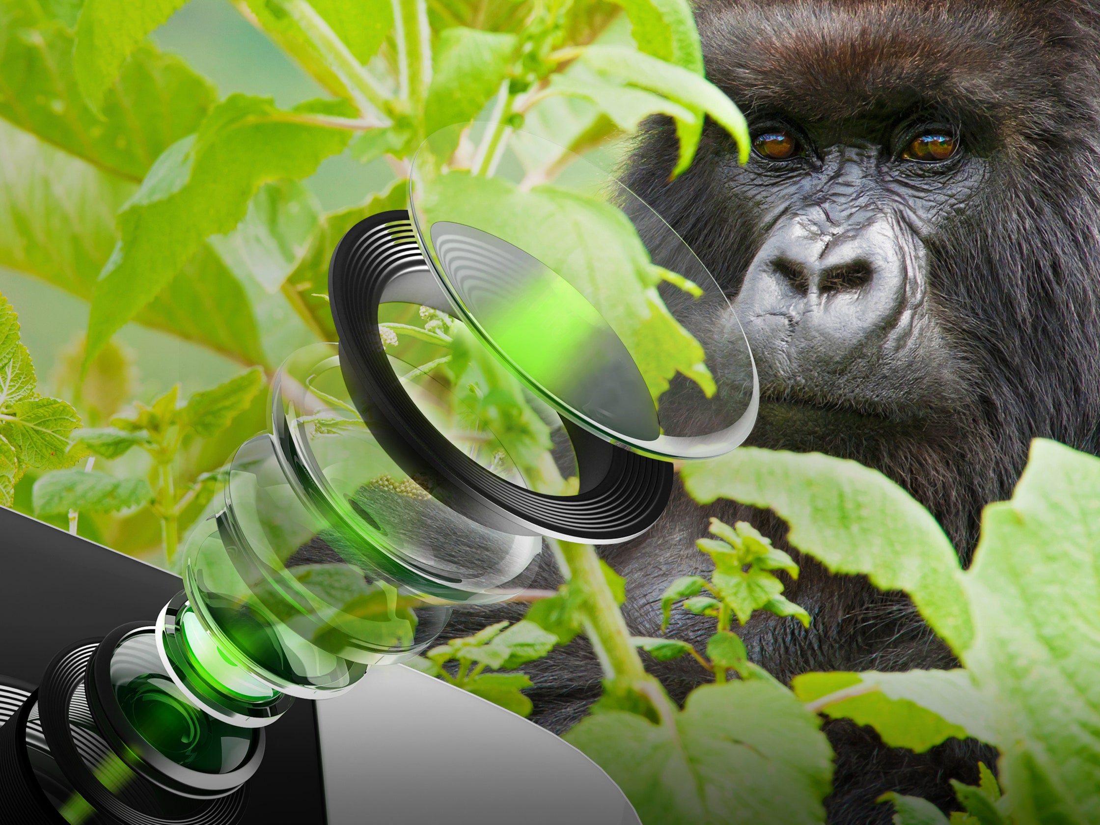 Corning wprowadza Gorilla Glass DX i DX+: szkło ochronne dla aparatów w smartfonach