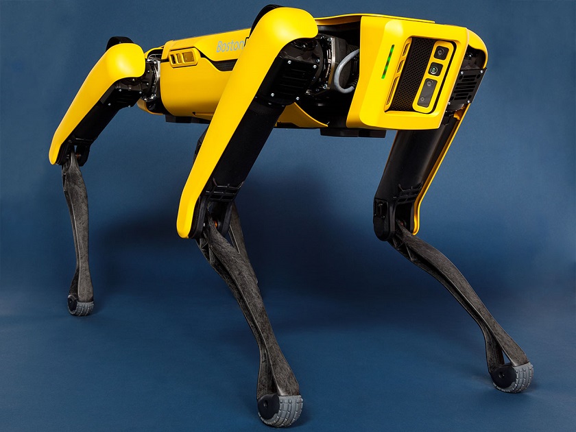 Pies robot Boston Dynamics Spot trafił do sprzedaży