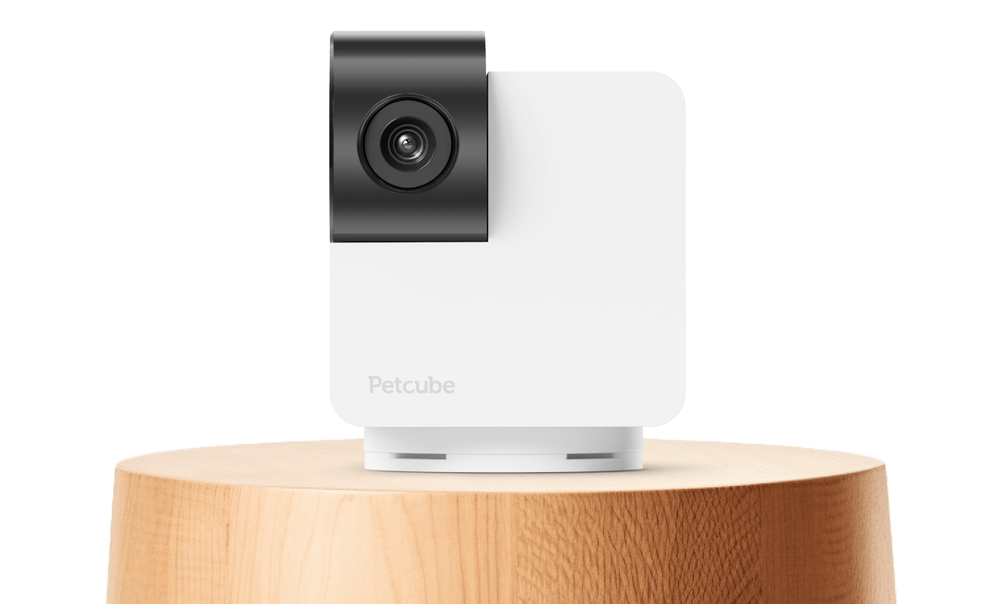 Petcube Cam 360: kamera dla zwierząt z funkcją obrotu o 360°, trybem nocnym i dwukierunkową komunikacją