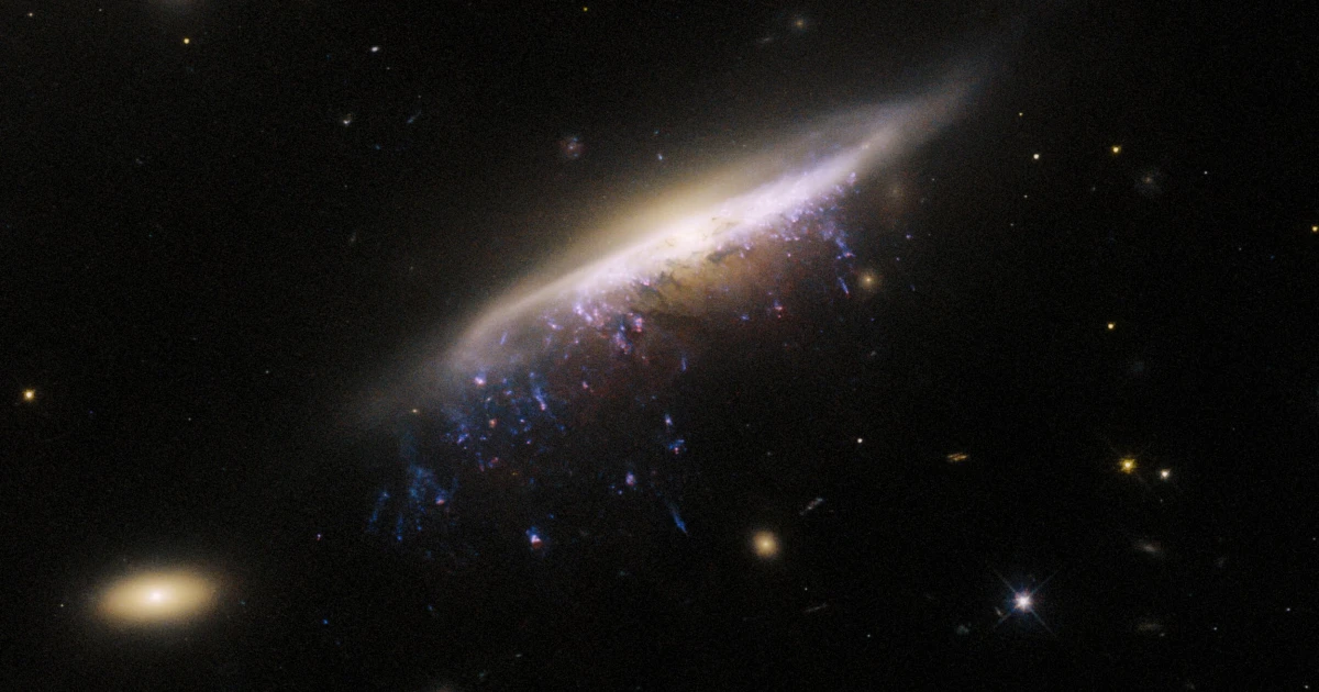 Hubble sfotografował galaktyczną meduzę 800 milionów lat świetlnych od Ziemi