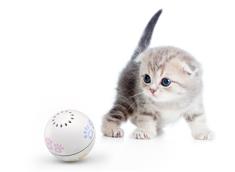 Xiaomi MiJia PN: inteligentna piłka dla kotka