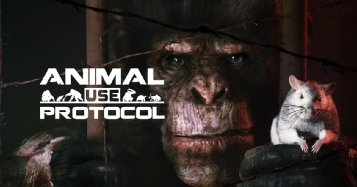 Zapowiedziano Animal Use Protocol, grę z gatunku survival-horror, w której szympans musi opuścić przerażające laboratorium