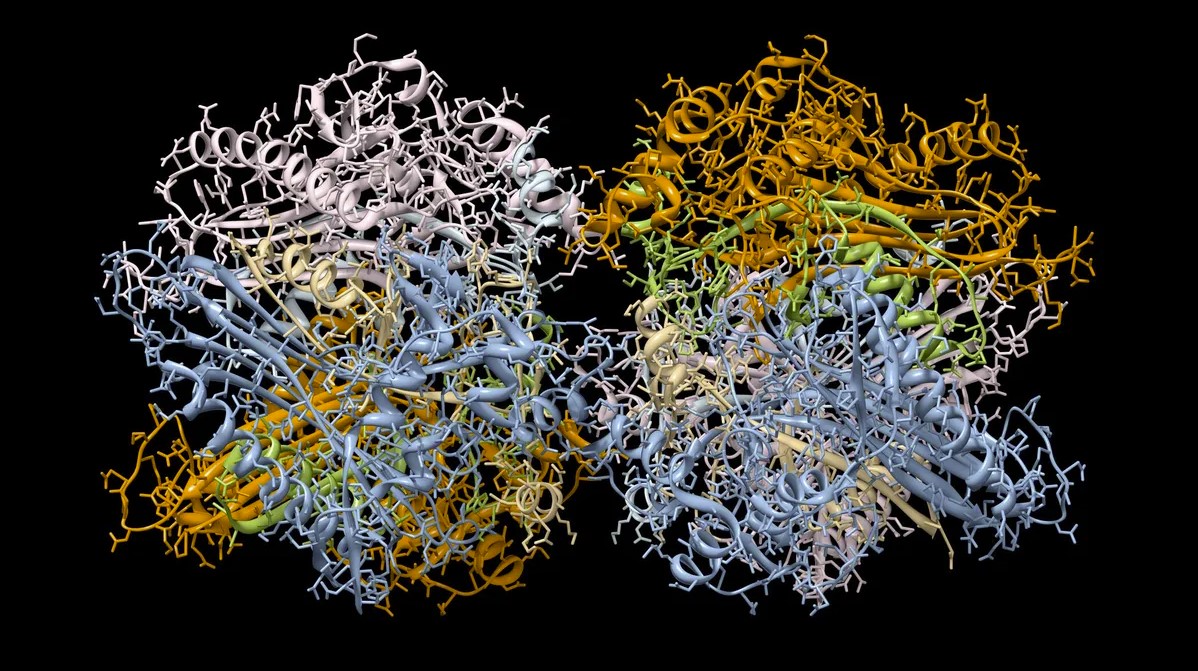 Sztuczna inteligencja DeepMind stworzył bazę danych ze strukturami 3D prawie wszystkich białek znanych nauce