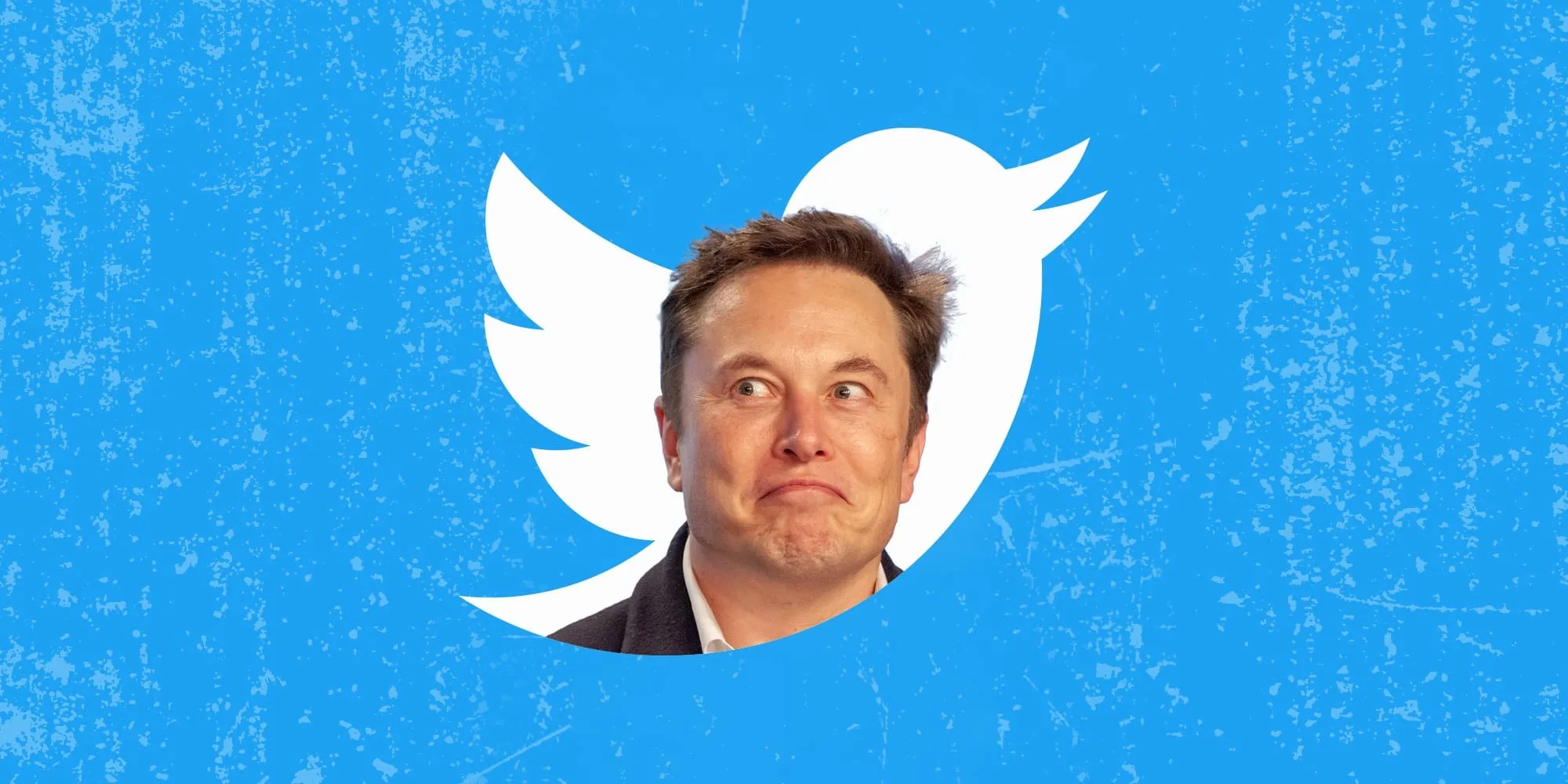 Elon Musk podniesie cenę subskrypcji Twitter Blue do 11 dolarów na iOS - dla wszystkich innych cena wyniesie 7 dolarów