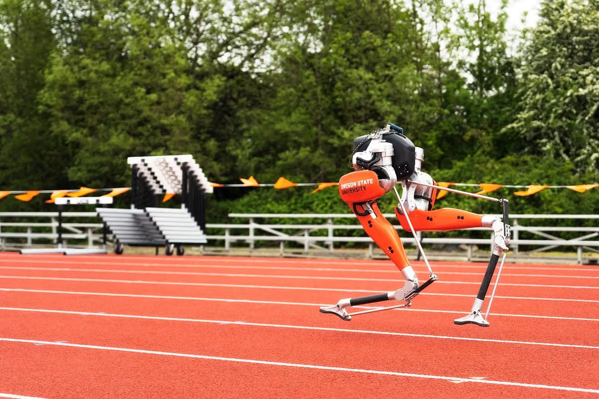 Cassie, dwunożny robot, ustanawia rekord Guinnessa w biegu na 100 metrów