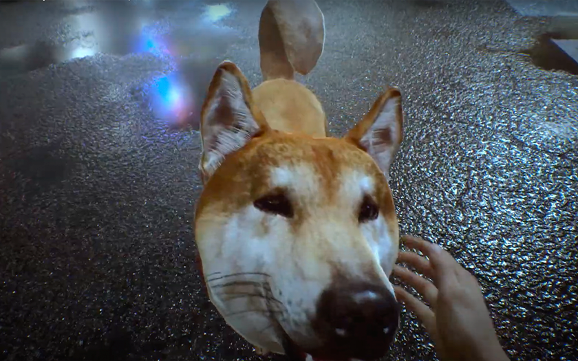 W Ghostwire: Tokyo gracze mogą karmić psy. W tym celu podana jest waluta w grze i tajne przedmioty.