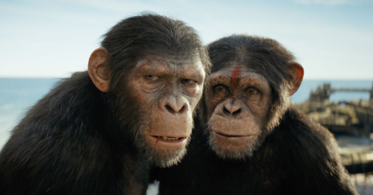 Królestwo Planety Małp zarobiło w pierwszy weekend w USA 56 milionów dolarów, co jest drugim najlepszym wynikiem w historii serii