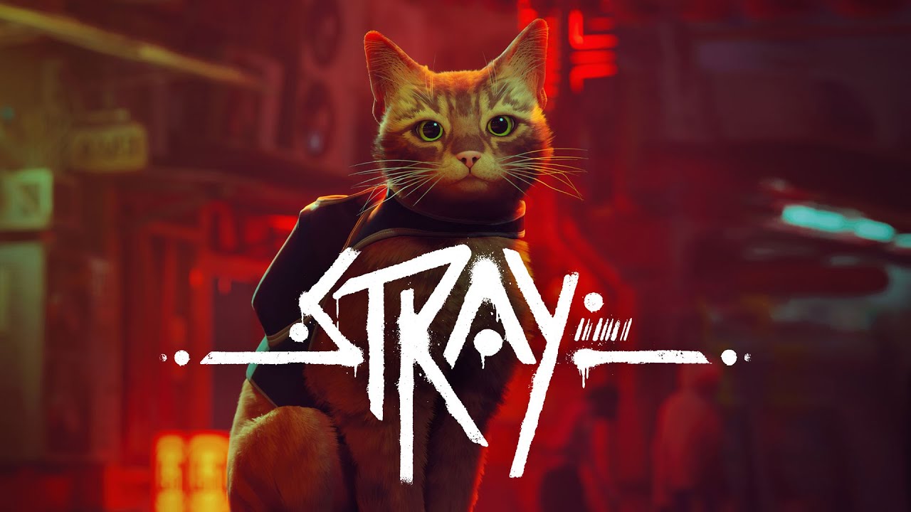 Stray będzie dostępny na Xbox 10 sierpnia