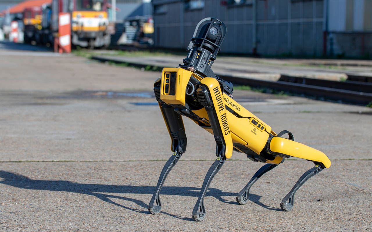 Pies-robot Spot spaceruje po ulicach Kijowa