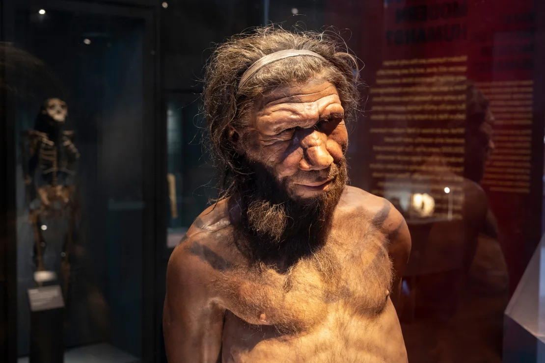 Sztuczna inteligencja przywróciła do życia neandertalskie cząsteczki przeciwdrobnoustrojowe do walki z superbakteriami