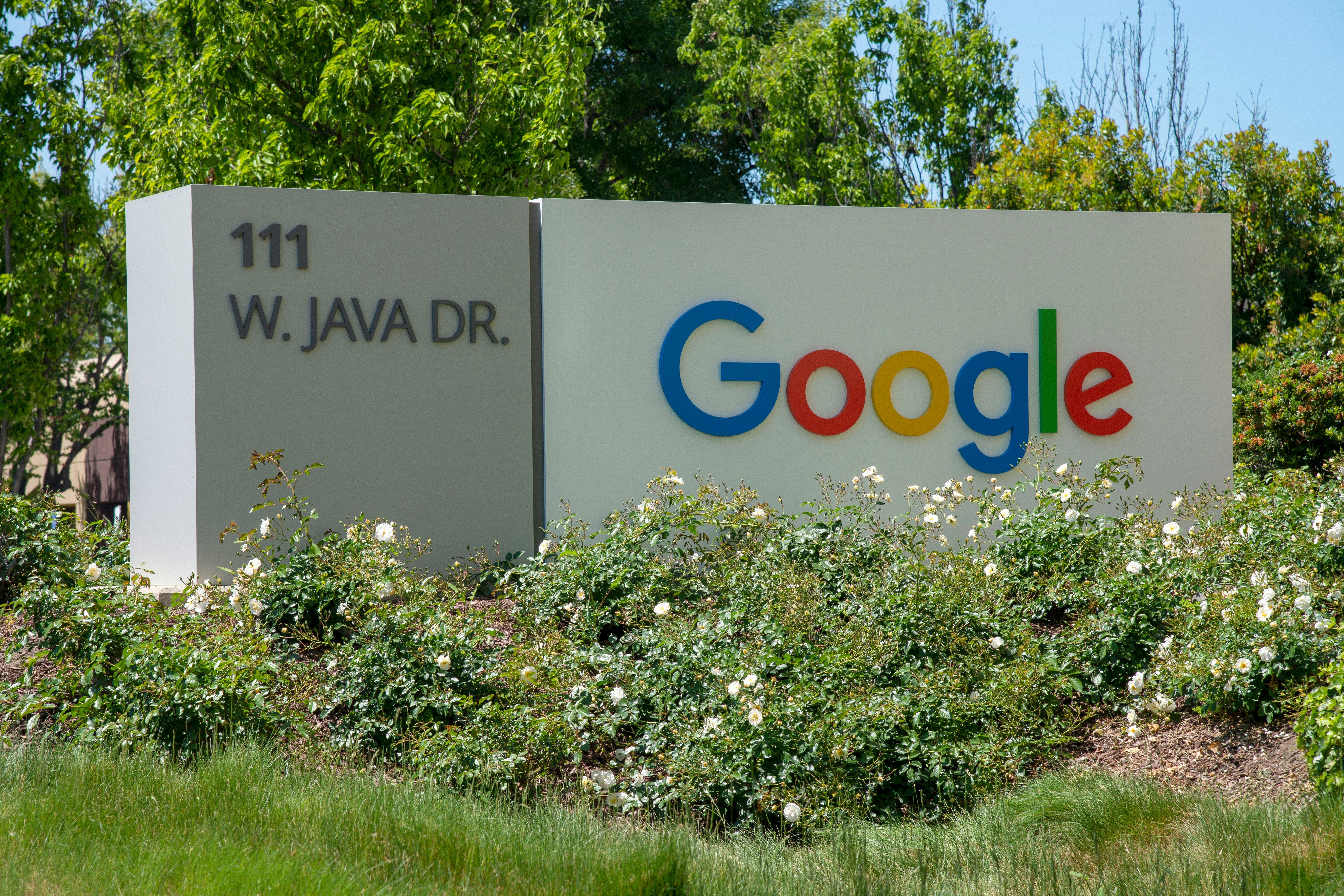 Google rozwiązało umowę z wykonawcą, który pomagał w szkoleniu chatbota Bard