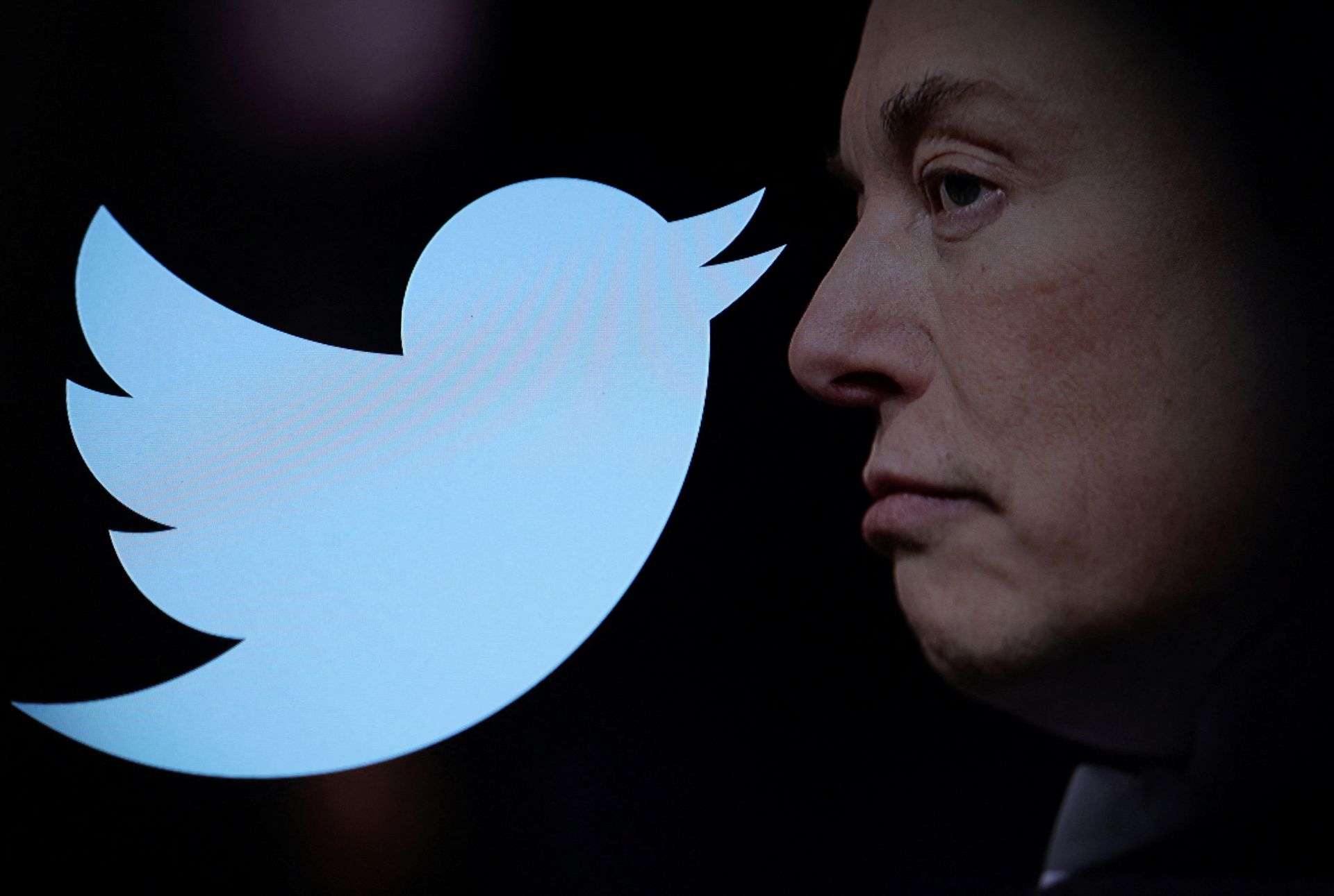 Elon Musk kupuje Twittera za 44 mld dolarów i natychmiast zwalnia poprzedni zarząd