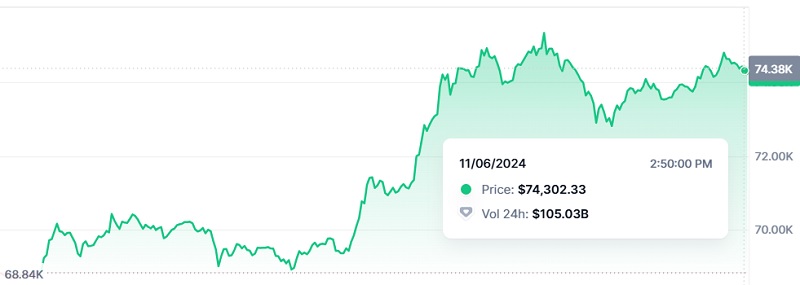 Bitcoin pobił rekord: w obliczu zwycięstwa Trumpa cena kryptowaluty osiągnęła 74,4 tys. dolarów-2