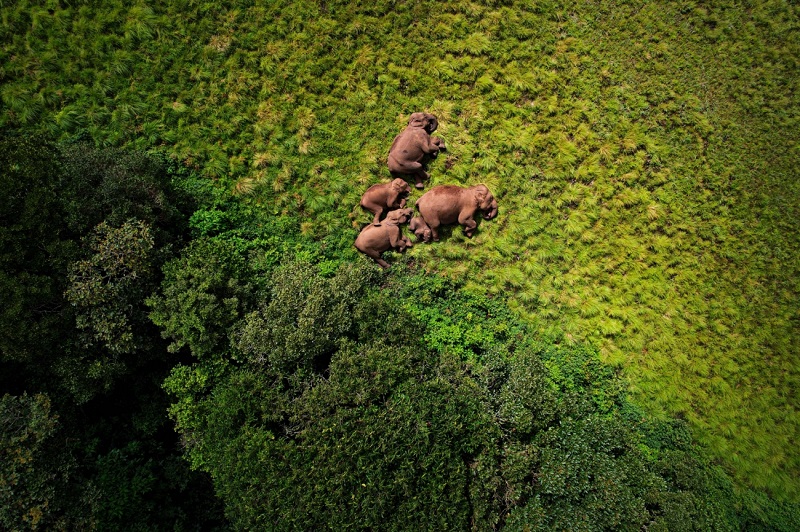 Świat widziany oczami dronów: zobacz najlepsze zdjęcia z konkursu Drone Photo Awards 2024-8